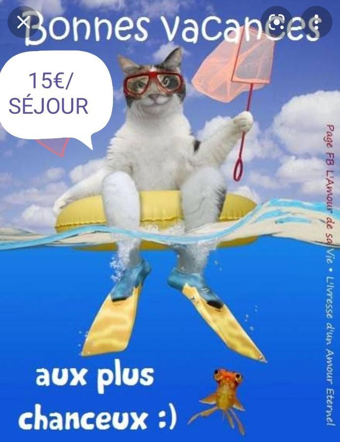 מלון Gastes La Cabane Des Pecheurs מראה חיצוני תמונה